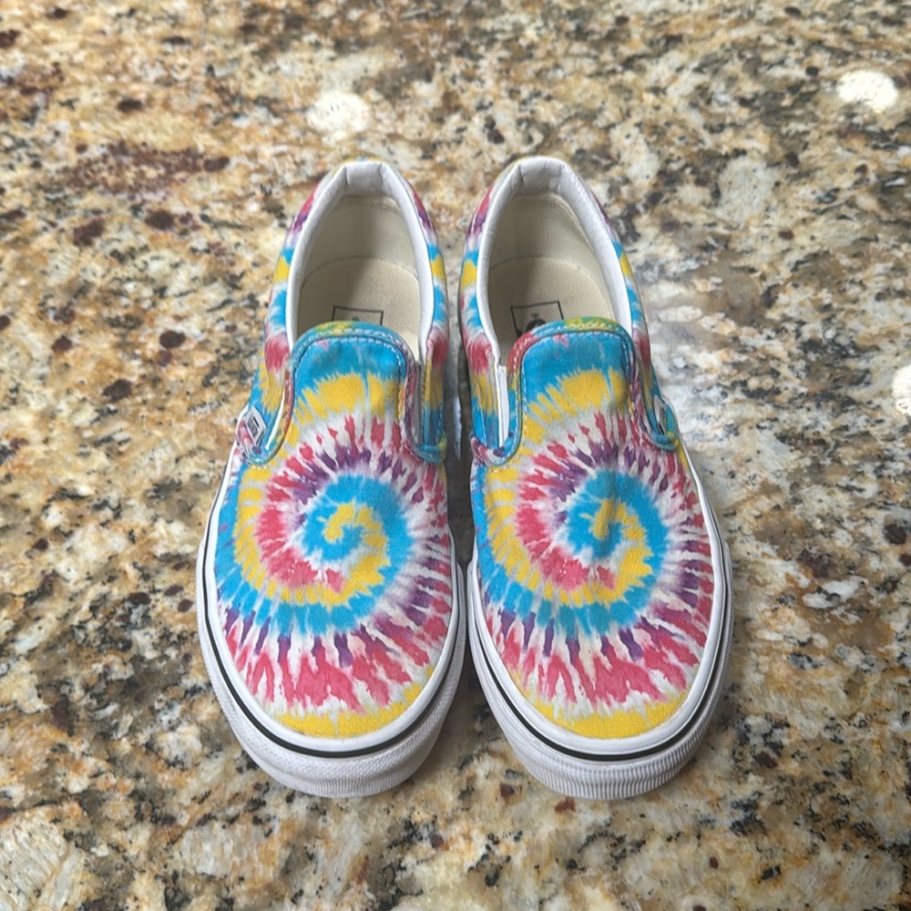 Vans Slip on Skate Shoe